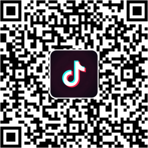 抖音小程序