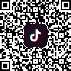 抖音小程序